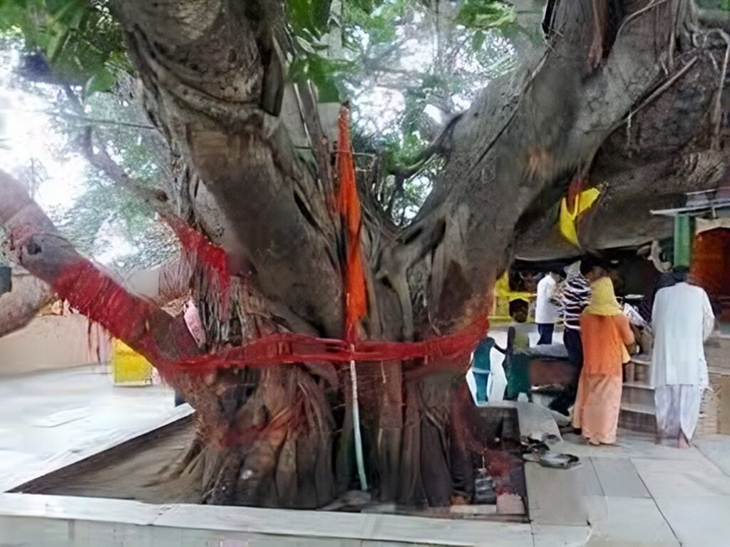 शुक्रताल की महिमा, ganga mahatmya, gangotri dham, goddess ganga, holy river, ganga maa, ganga river origin, ganga origin, origin of ganga, ganga river, ganga nadi, bhagirathi